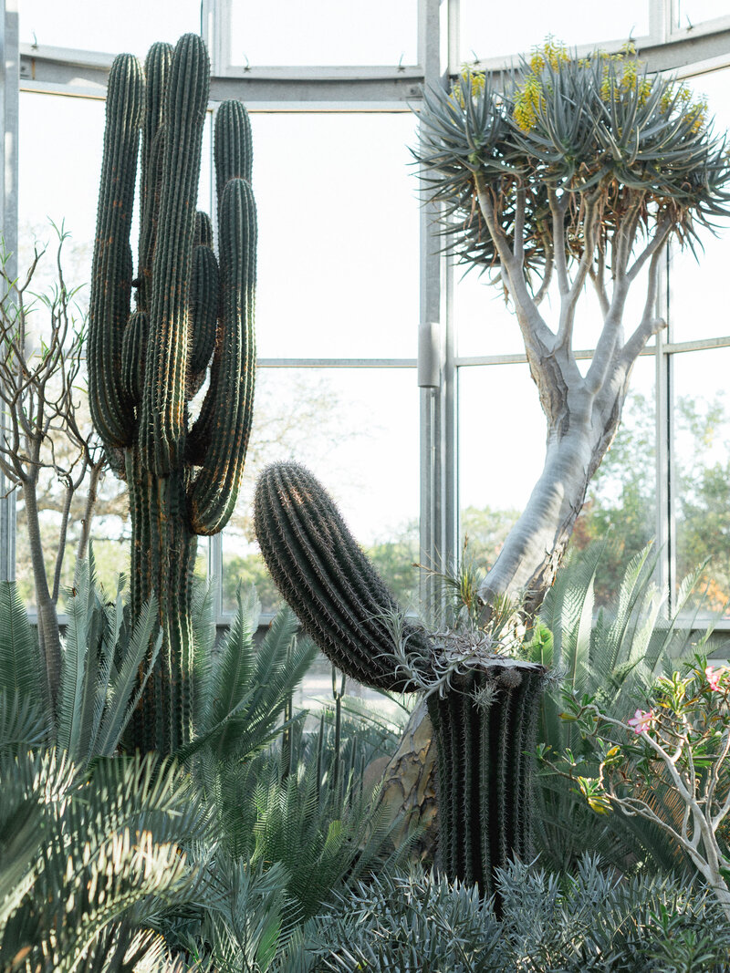 Greenhouse Editorial - Tay Danay - #-31