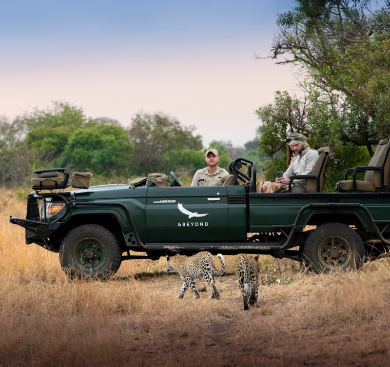 Safari at Phinda Private Game Reserve