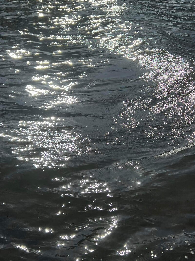 dark ocean with sunlight shimmering on surface