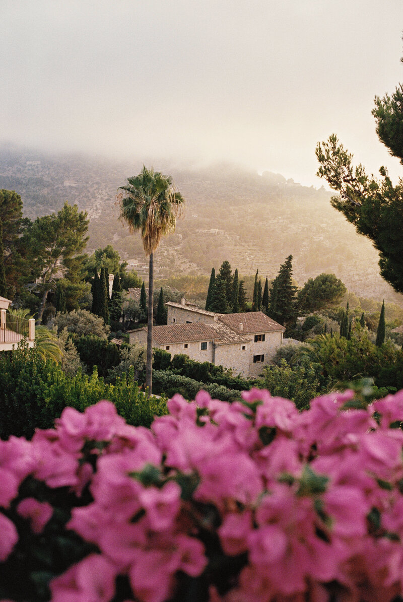 01cb8378-1d37-4e1c-99c6-581e94f7cfdb