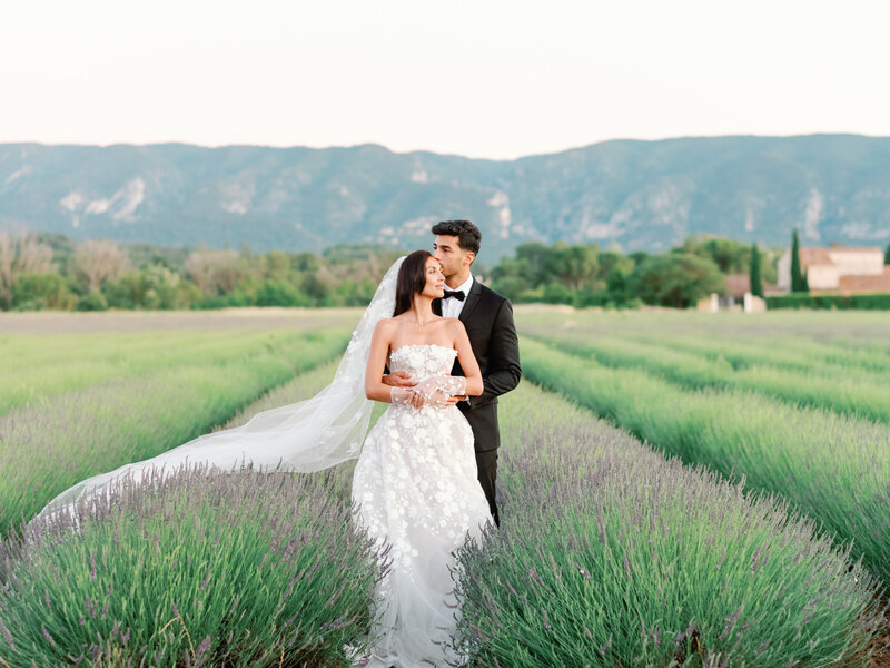 Lavender Fields Couple at the sunset in  Provence