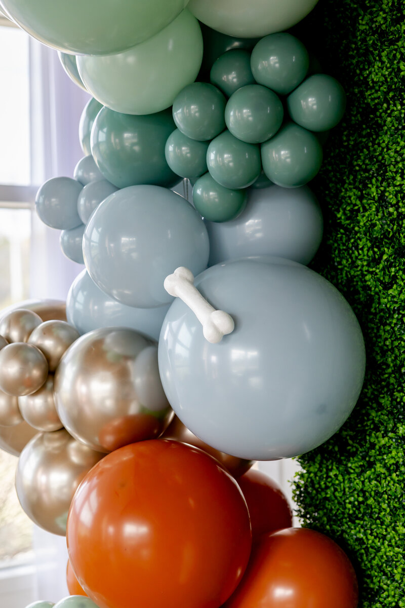 Balloon garland with orange, blue, teal, gold balloons and dog bones on a boxwood floral wall.