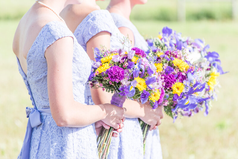 Katie Nicole Photography