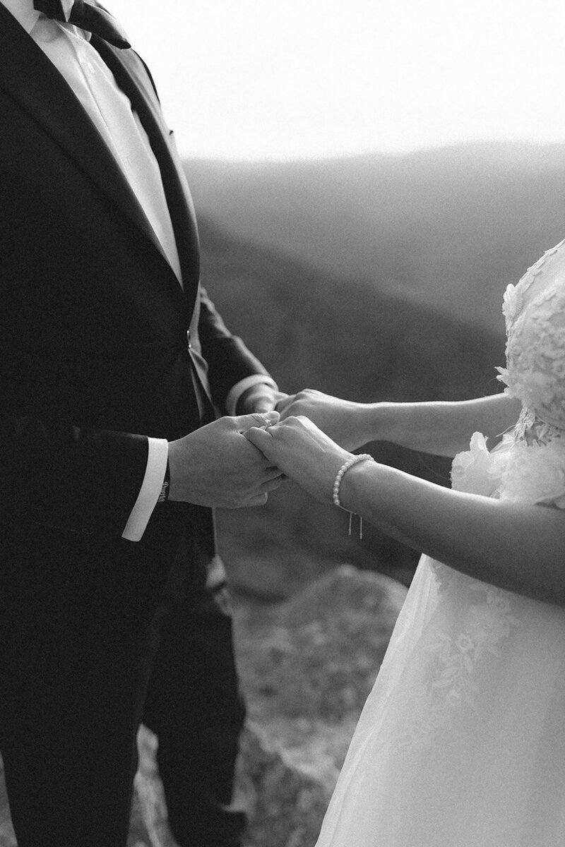 Shenandoah National Park - Blue Ridge Pkwy Elopement (190 of 278)_websize