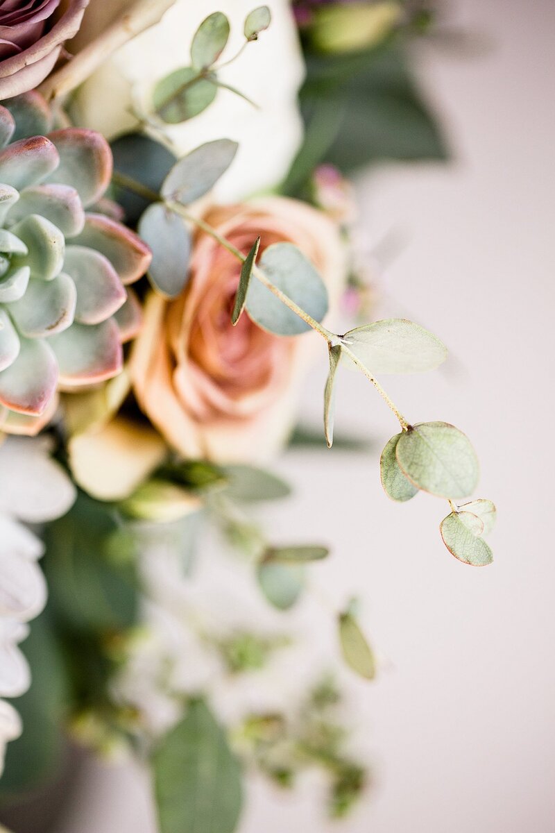 eucalyptus sprig by Knoxville Wedding Photographer, Amanda May Photos