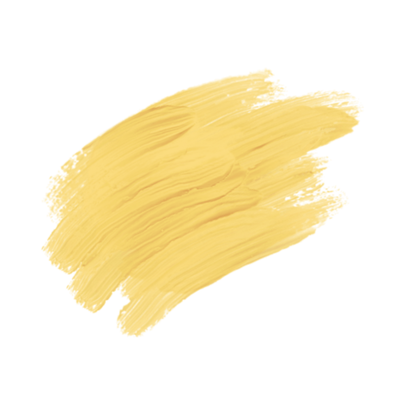 Allison Bolin Texas wedding photographer brand element scribble illustration