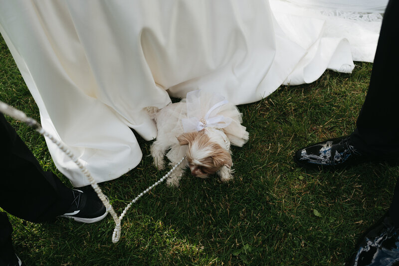 sunshine-coast-bc-wedding-photographer-chelsea-brown-photography-28