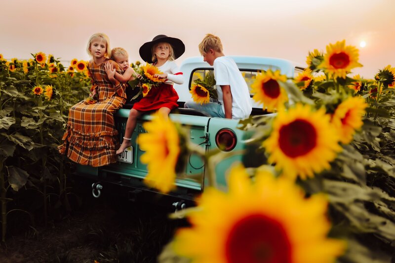 Four children sitting in the back of a blue pick up truck in a a sunflower field in a family photoshoot captured by Infinite Productions