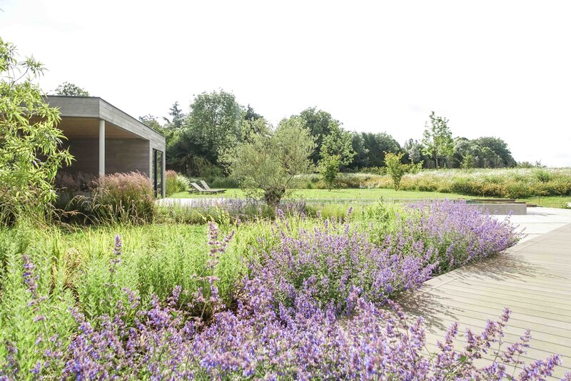 Esquisse d'un jardin arboré donnant sur une maison