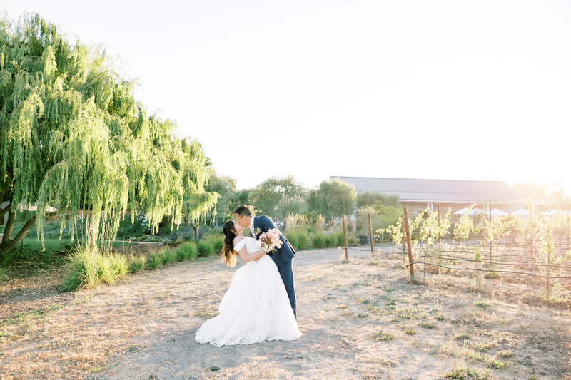 MC-The-Barns-at-Harrow-Cellars-Sonoma-Wedding-ReginaKPopova-245
