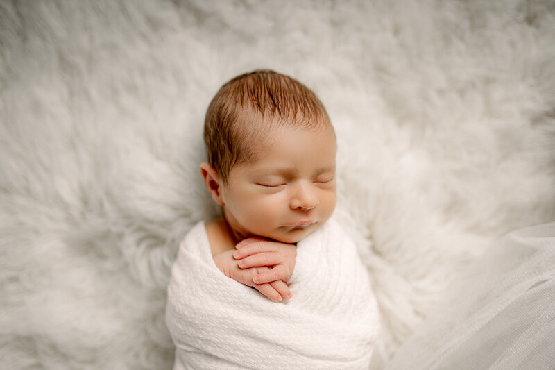 studio newborn session in farmersville,texas