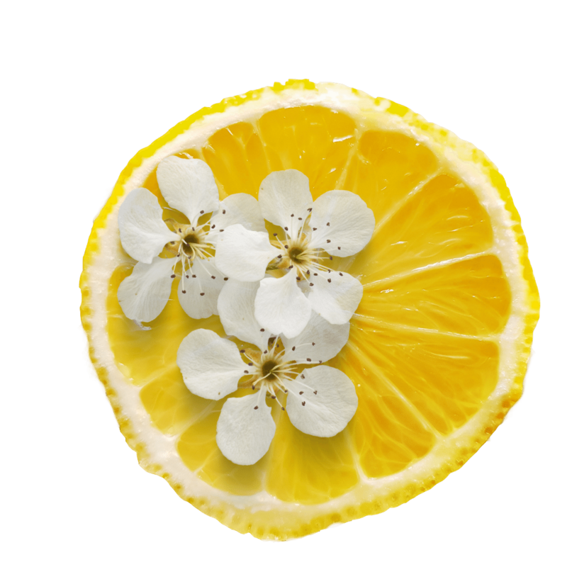 Lemon slice with white flowers on top