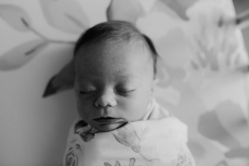 Arlington  newborn photographer