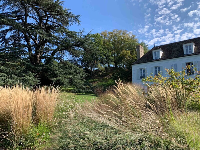 Esquisse d'un jardin arboré avec chemin aménagé