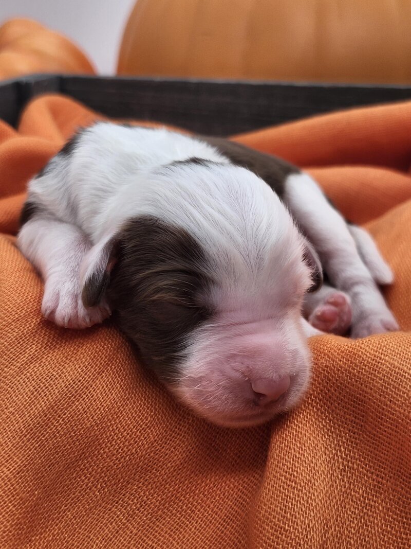 5c939c9e-6e1d-4212-bf9c-2b152c554390