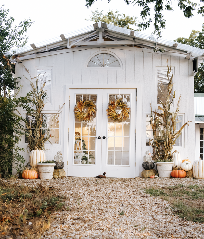 pumpkin fall mini sessions