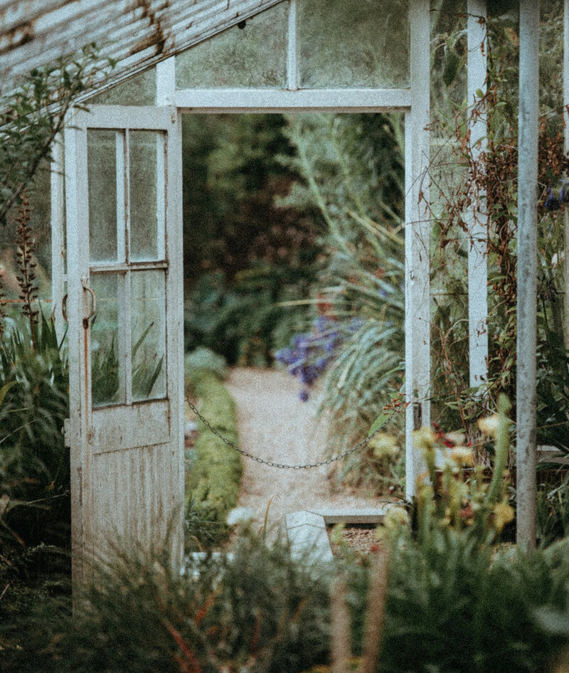 abbotsford counselling