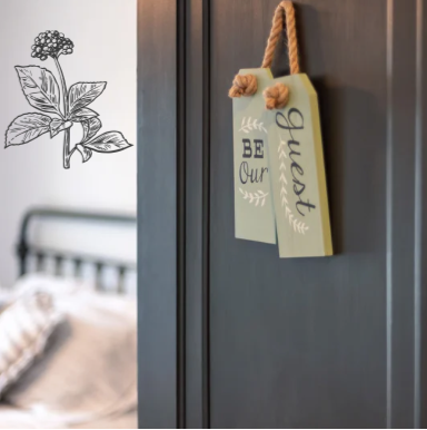 jardin intérieur © l'herbier graphique10