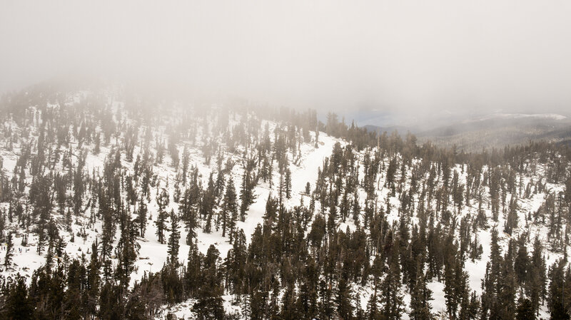 Heavenly Haze