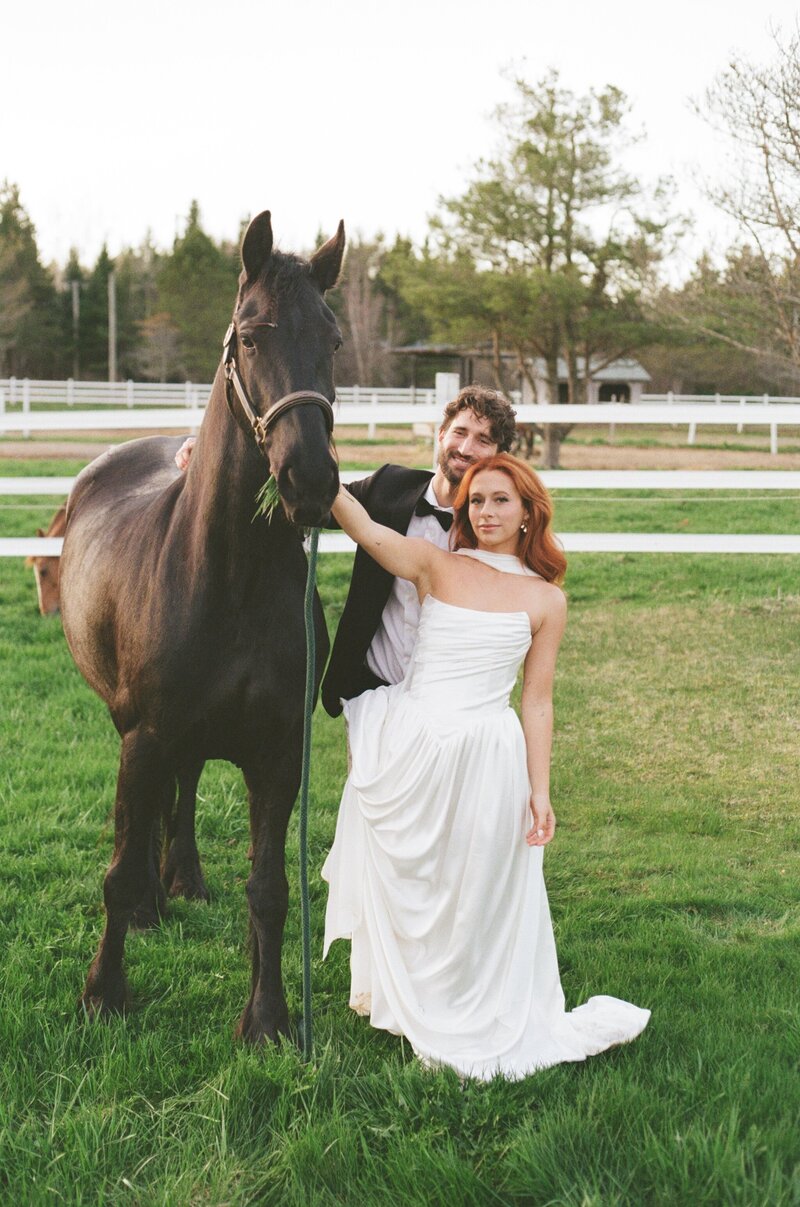 A bride and groom pose with one of the horses at Cidery 51 in Moncton, NB.