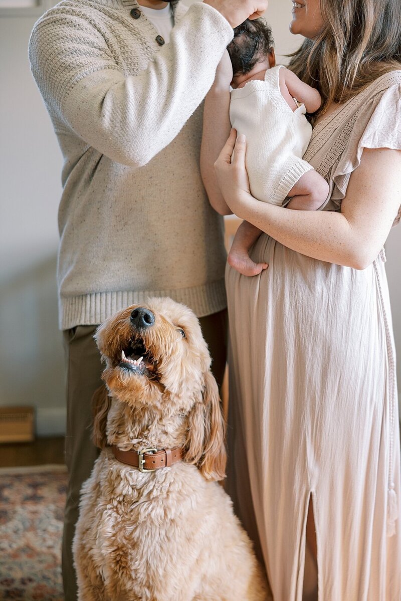 Mechanicsburg Newborn Photography Ashley K