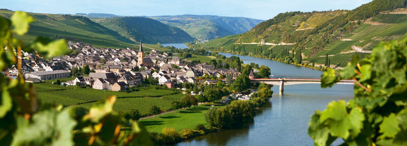 Panoramic view of a riverside village nestled among green hills and vineyards, with a bridge crossing the river under a bright, clear sky.