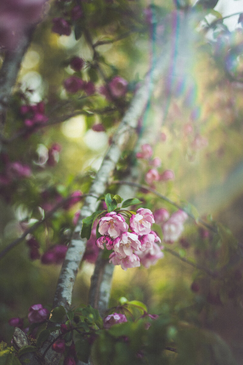 Chelsea Dawn running through her Vancouver Island home garden.