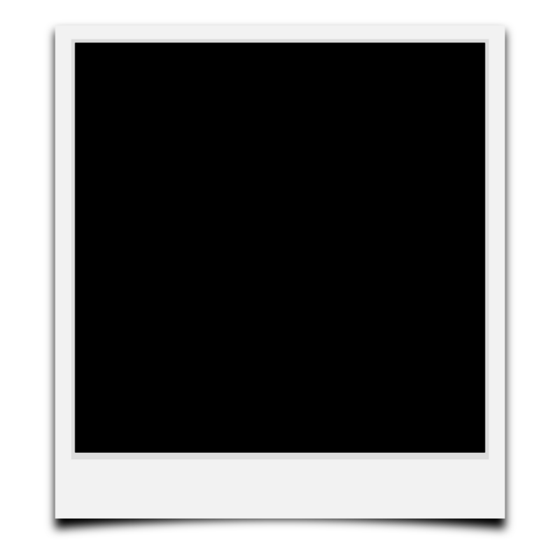 Global Plates (4)