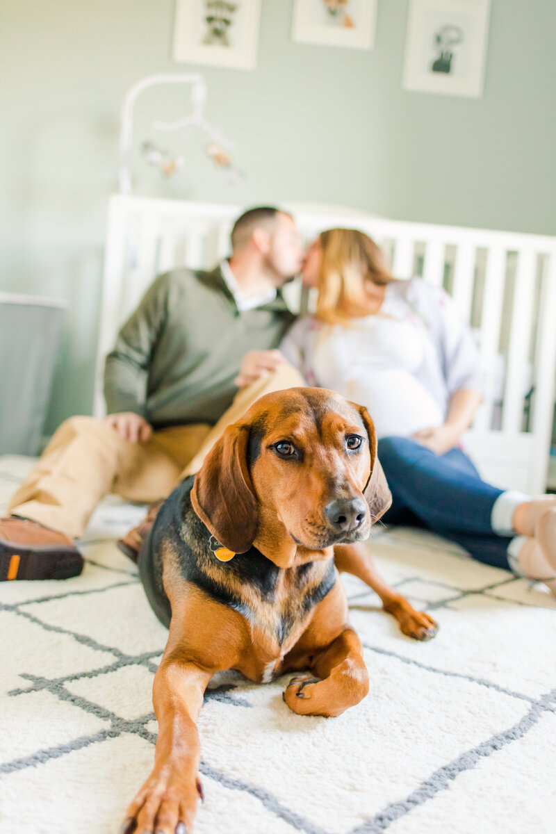 Expecting couple sharing a special moment during a maternity session in Harrisonburg, VA.
