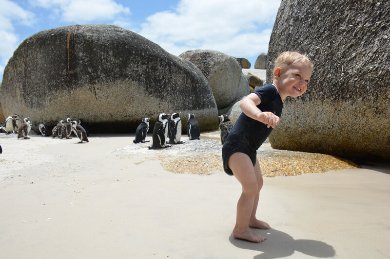 Zuid Afrika Pinguins_1