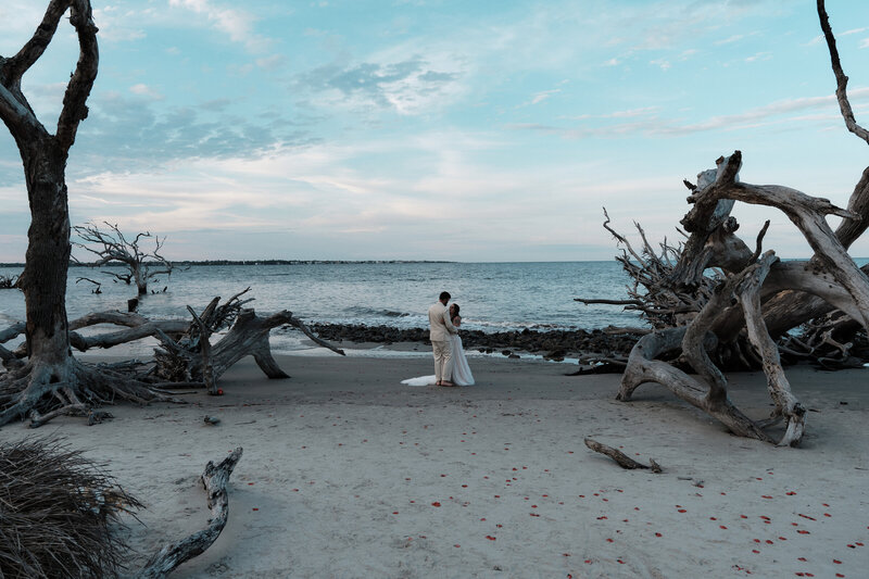 Couple eloping on a driftwood filled beach