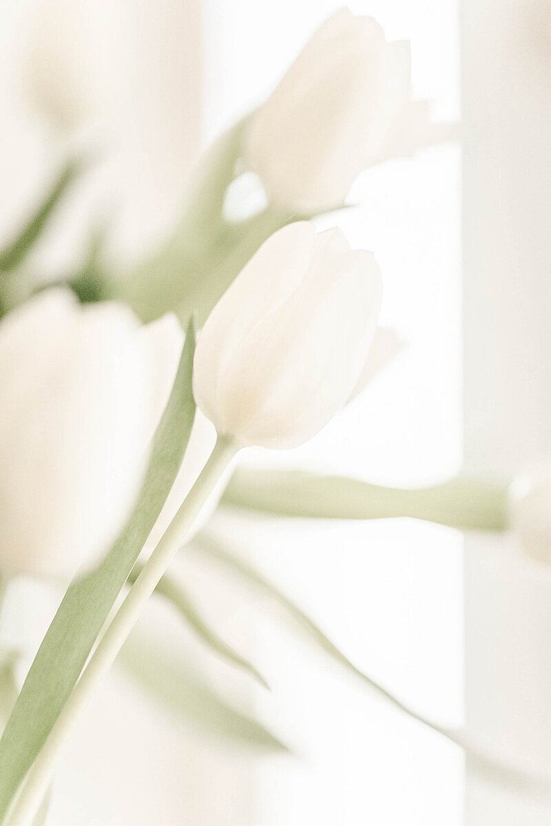 The-Gadsden-House-Charleston-SC-south-carolina-wedding-24