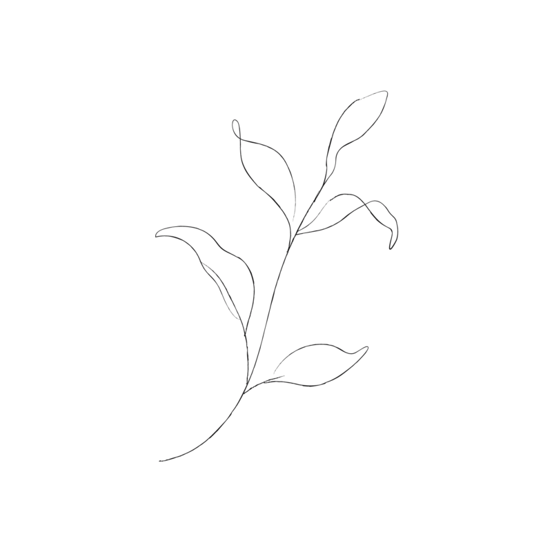 Minimalist Leafy Sketches (individual) - galerie design studio-07