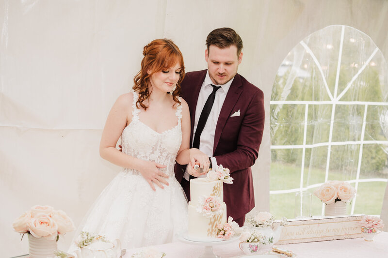 Bride and groom cutting cake
