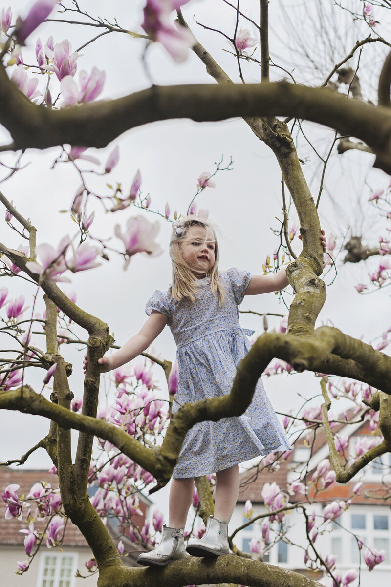A little girl climbs in a Magnolia tree in her garden in Wimbledon