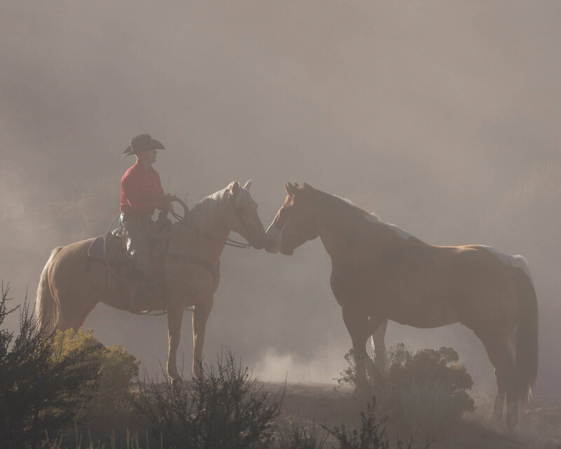 wenatchee-horse-photographer-yellowstone-horse-photos (122)