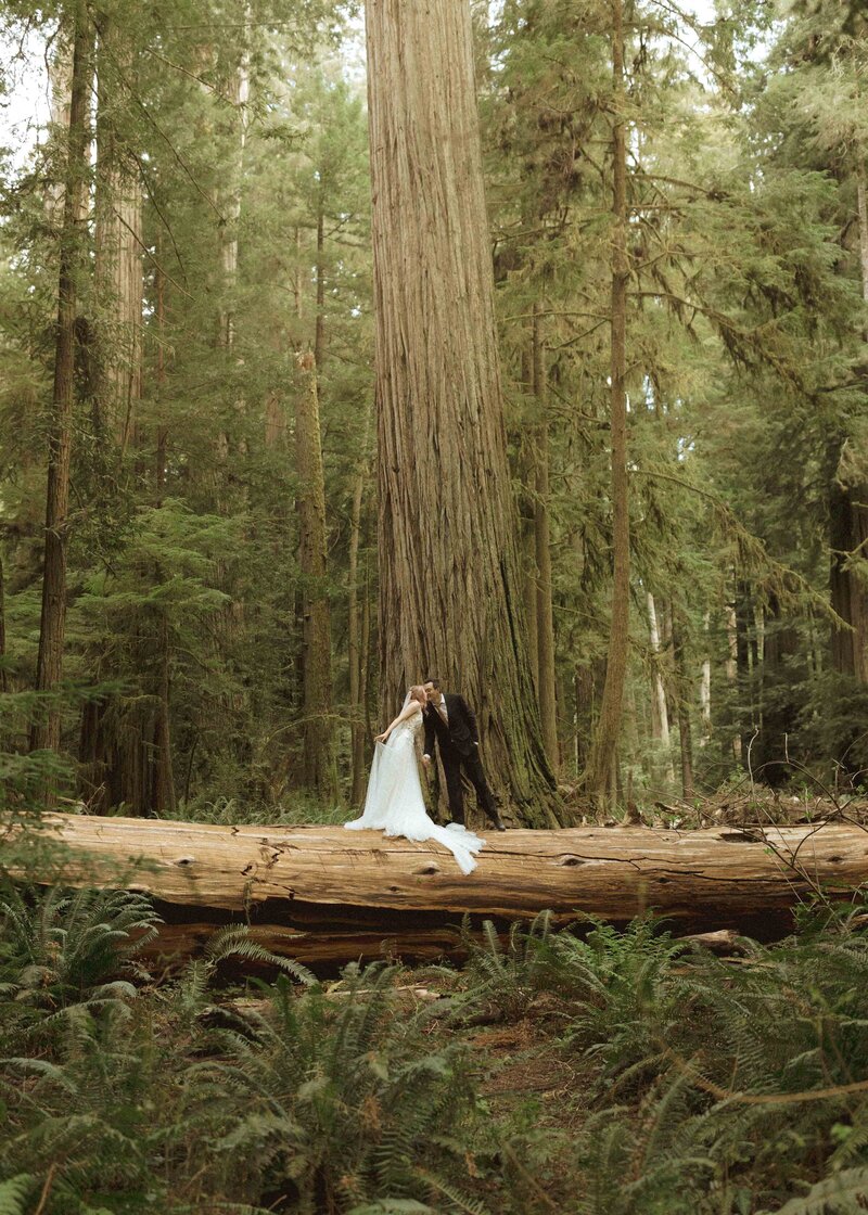 Redwoods-Elopement-Nicki-Jake-April-2024-Megan-Schukei-Photography-7