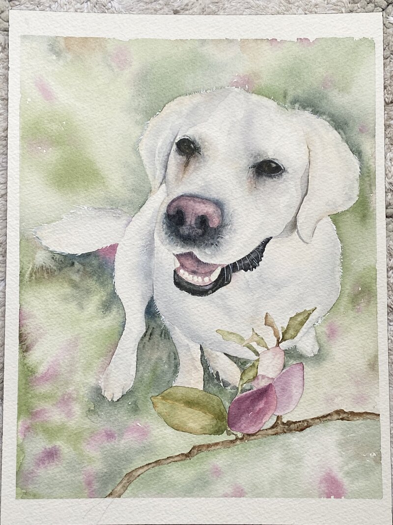 pet portrait watercolor