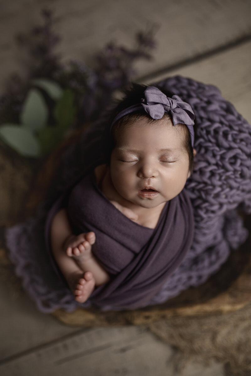 temple texas newborn photographer