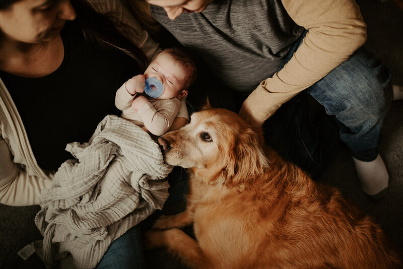 mother and father holding baby with dog