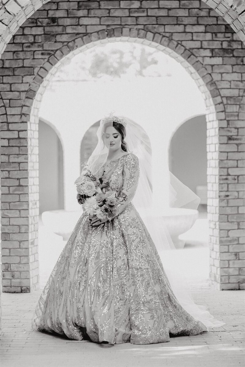 A black and white image of a bride with a veil being blown by the wind, photographed in the Hamilton Gardens by Waikato Photographer Tashina Narelle Photo + Video
