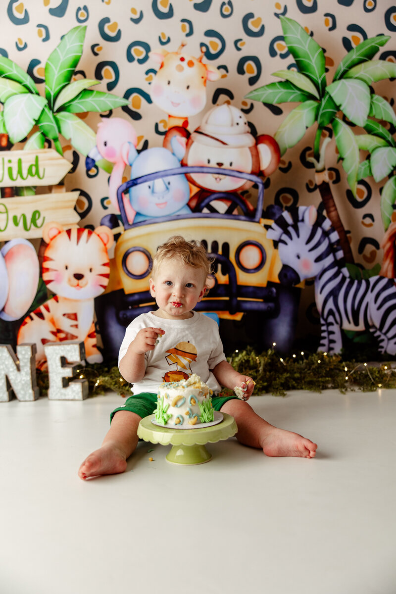 Cedarburg cake smash photographer, cake smash photography near me, first birthday photography Cedarburg