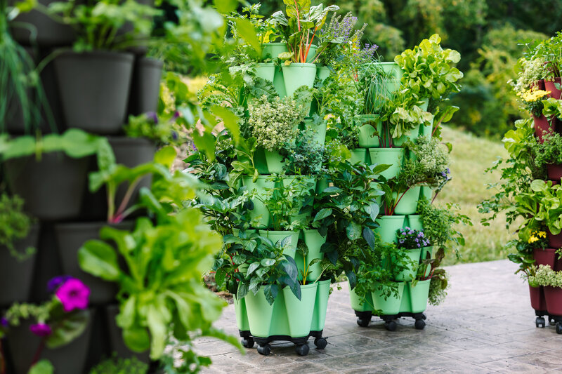 GreenStalk Vertical Planter