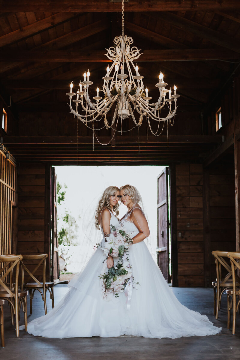 Wedding Photographer, bride and groom kiss underneath sparklers held by friends