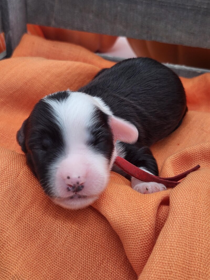 51e2e6cc-cf67-409a-910b-f8ca74e5c409