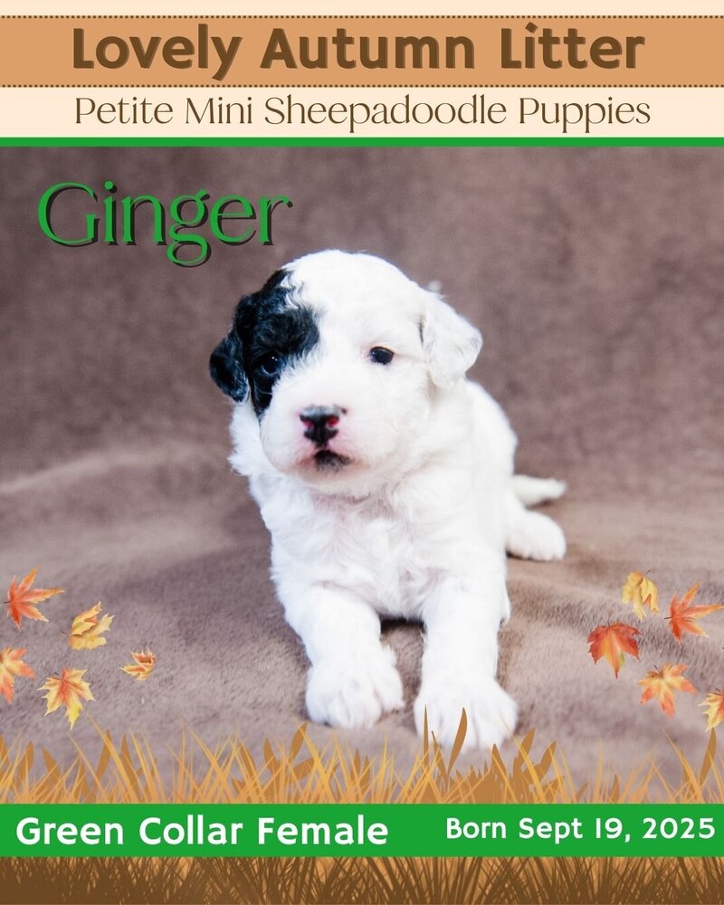 Autumn - Green Ginger Female