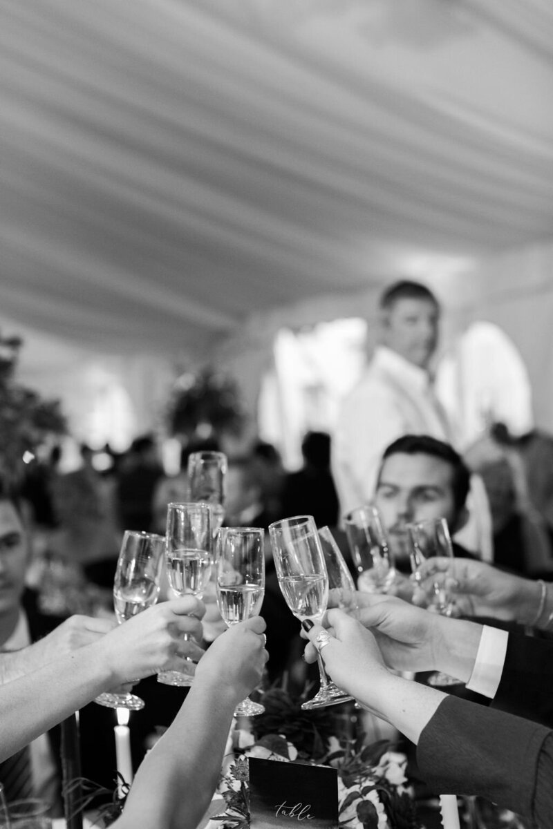 guests toasting