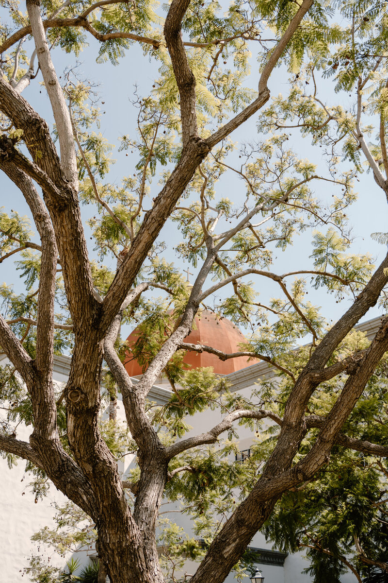 Mission San Juan Capistrano Wedding