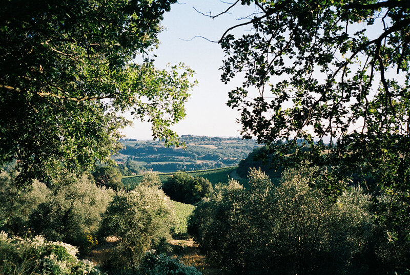 Spring wedding in Tuscany with views of the wine country 