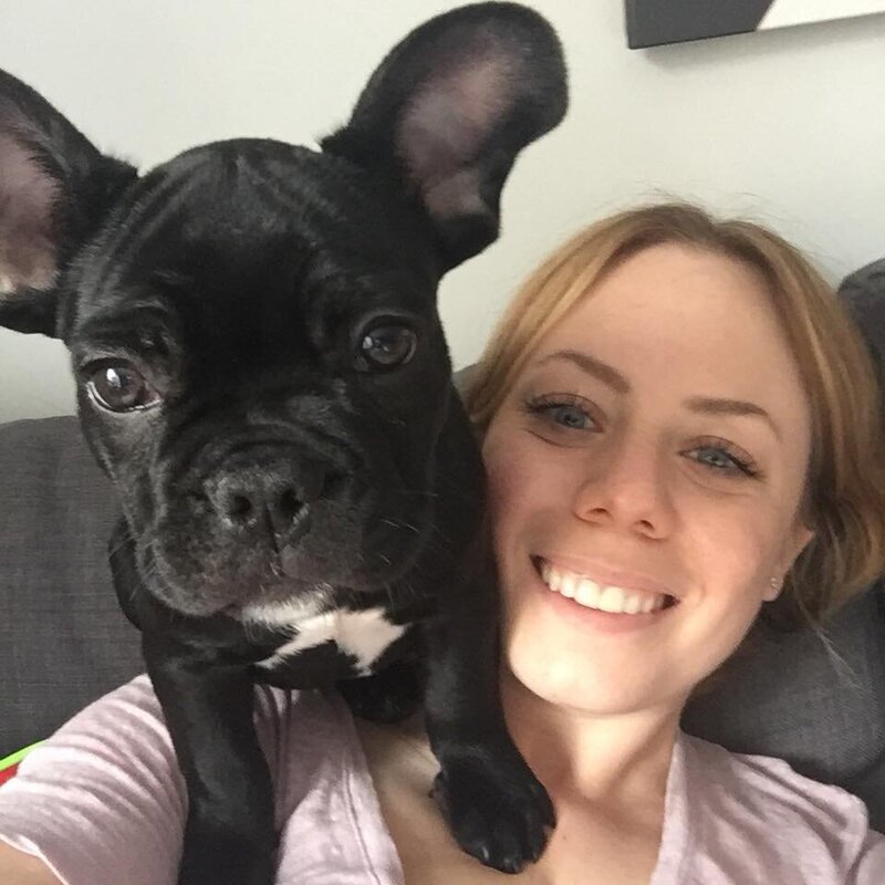French Bulldog breeder LMN Bulldogs located near Montreal, Canada